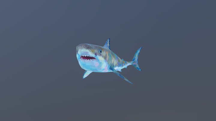 Hand painted shark 3D Model