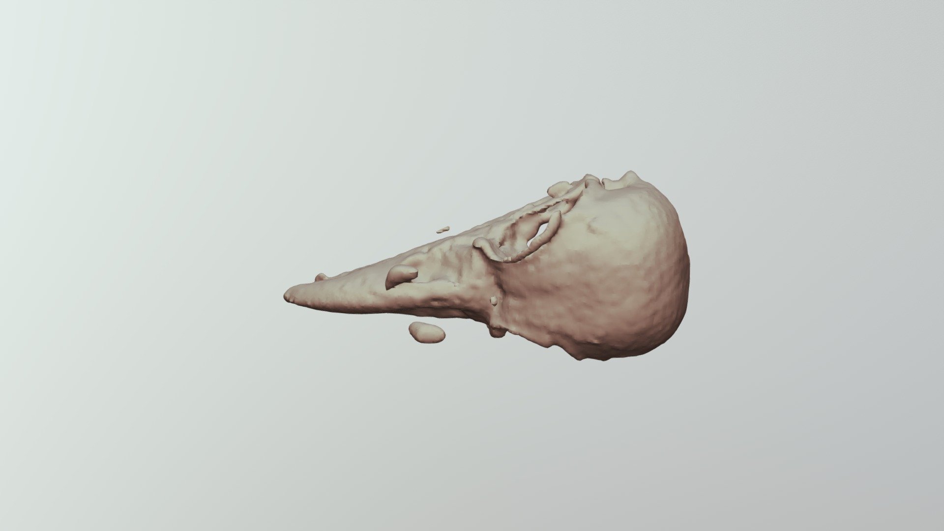 3E-Raven Skull-BC8130
