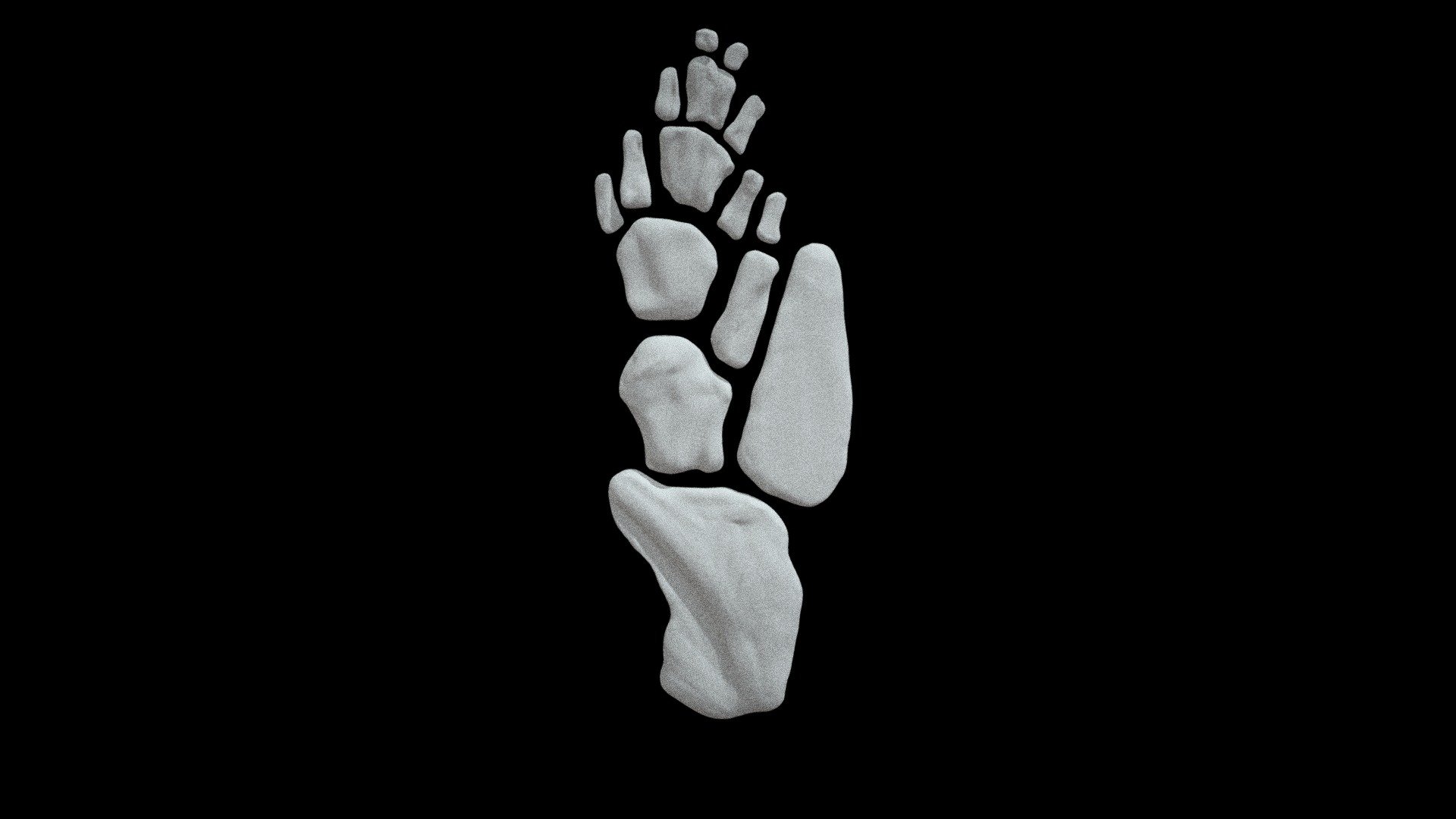 Tiktaalik limb sculpted