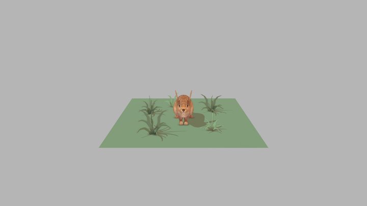 Bunny animation 3D Model