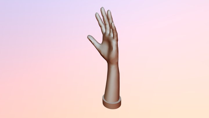 Hand Model 3D Model