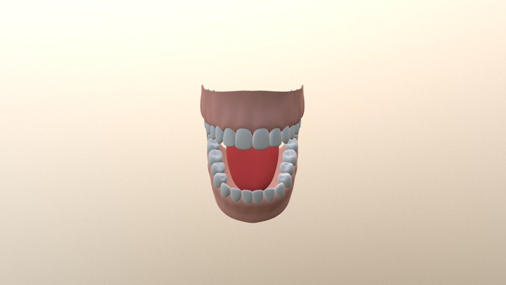 Mouth And Teeth - 3d Model By Gustavolincoln [2ea5d5a] - Sketchfab