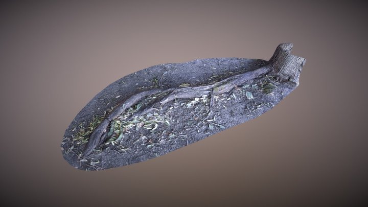 Low-Poly Photogrammetry Root Test 3D Model