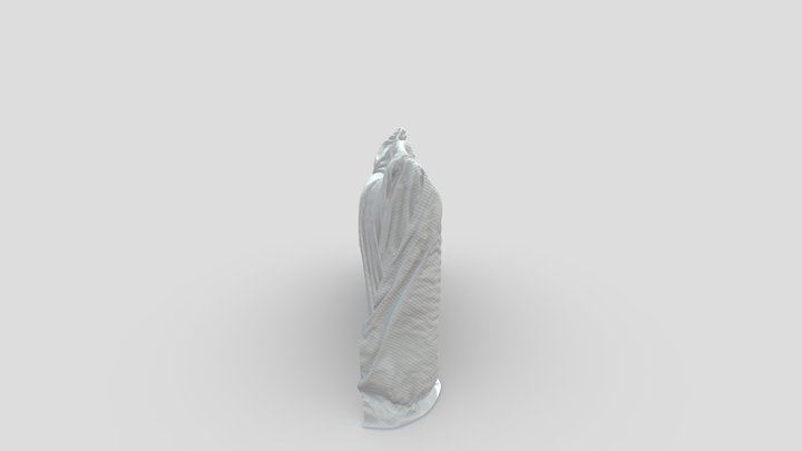Feathered 3D Model