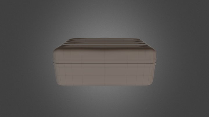 Hard Shell Case_02 3D Model