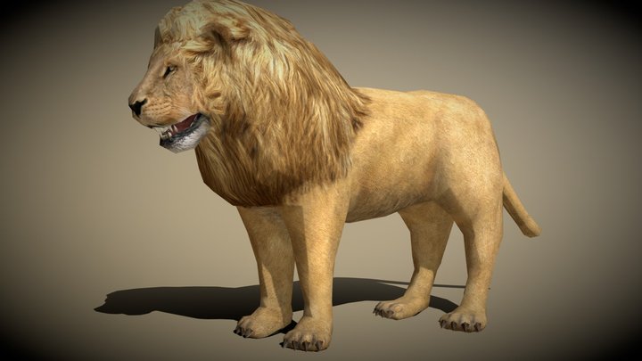 3DRT - Safari animals - Lion 3D Model