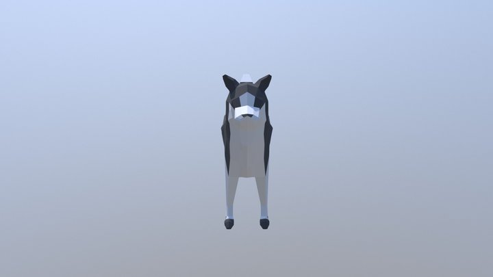Husky Low Poly 3D Model