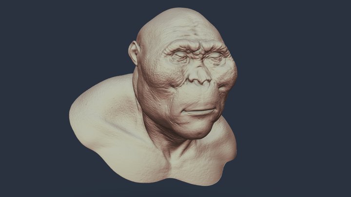 Nutcracker Man Bust 3D Model