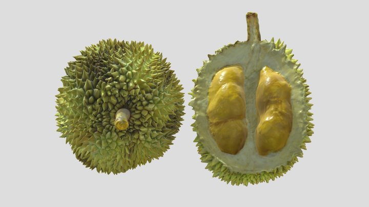 Durian Low Poly PBR 3D Model