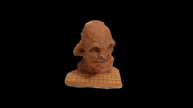 Scan quick test 3D Model