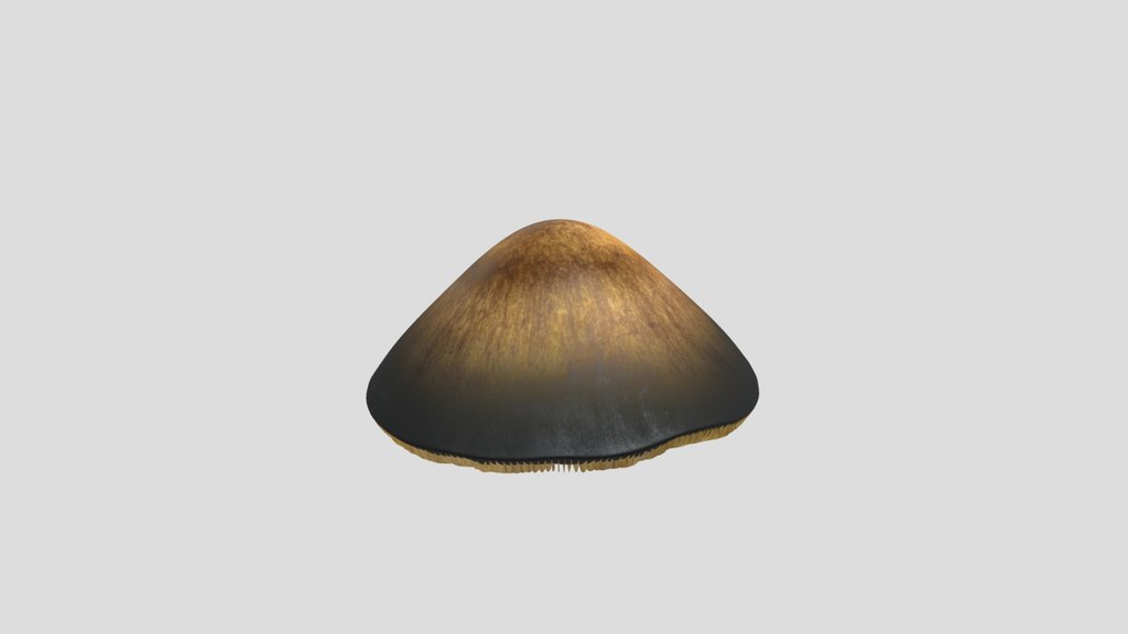 Garment Mushroom Hat
