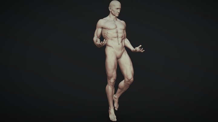 Male Full Body Sculpt Pose 1 3D Model