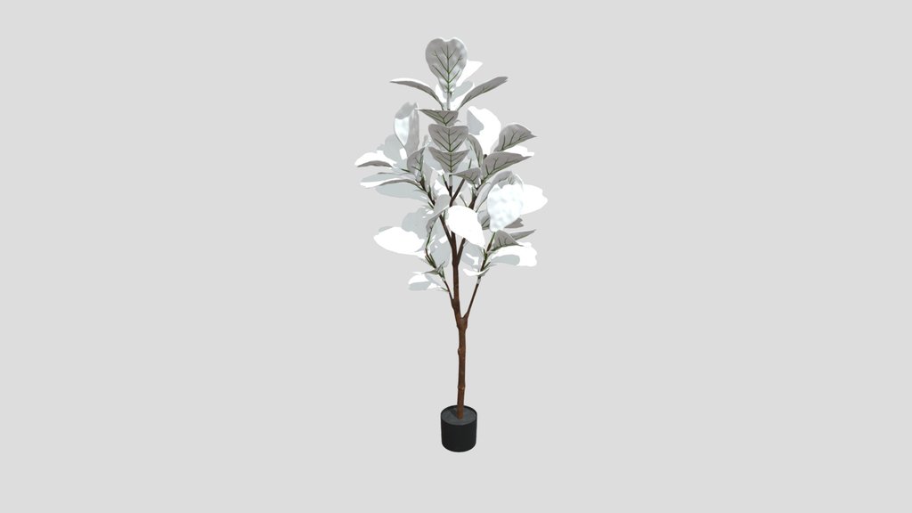 Tall Ficus Lyrata Indoor Plant Decor