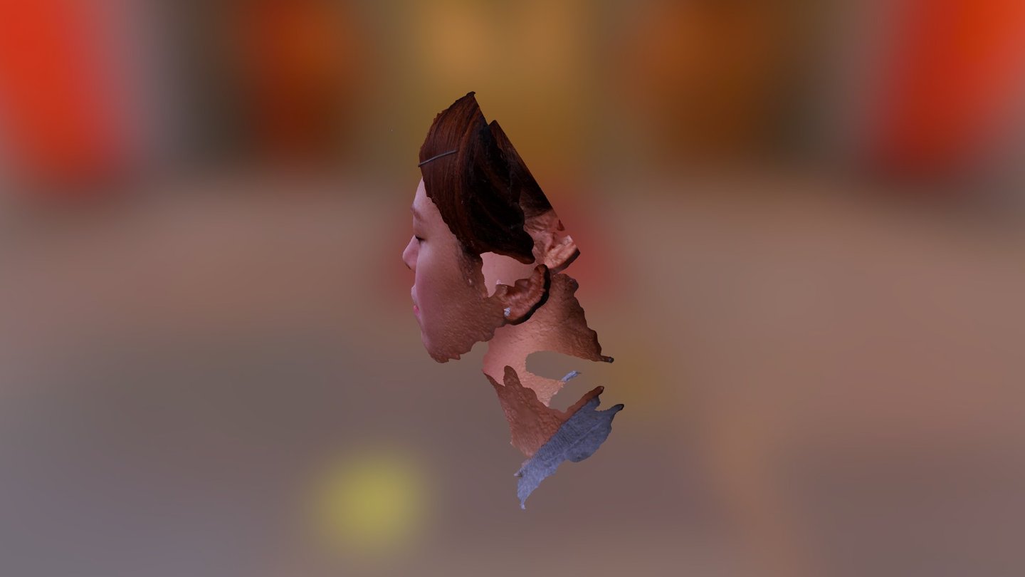 Sketchfab_2016_02_20_13_36_28
