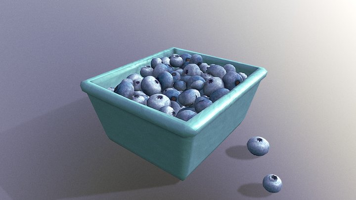 Blueberries 3D Model