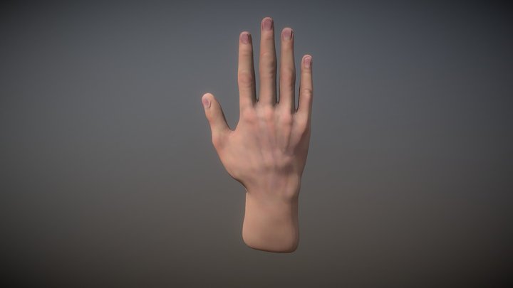 Hand Sketch 3D Model