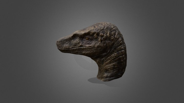 Raptor Head 3D Model