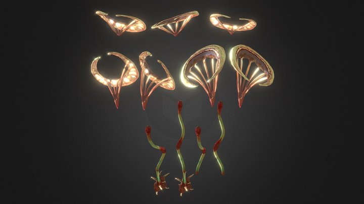 Crescent Moon Coral Parts – Gratis 3D-model STL