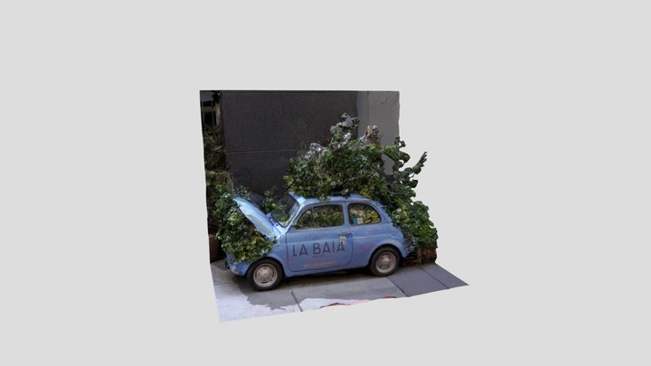Flower Car New York City 3D Model