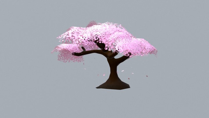 Sakura Tree 3D Model