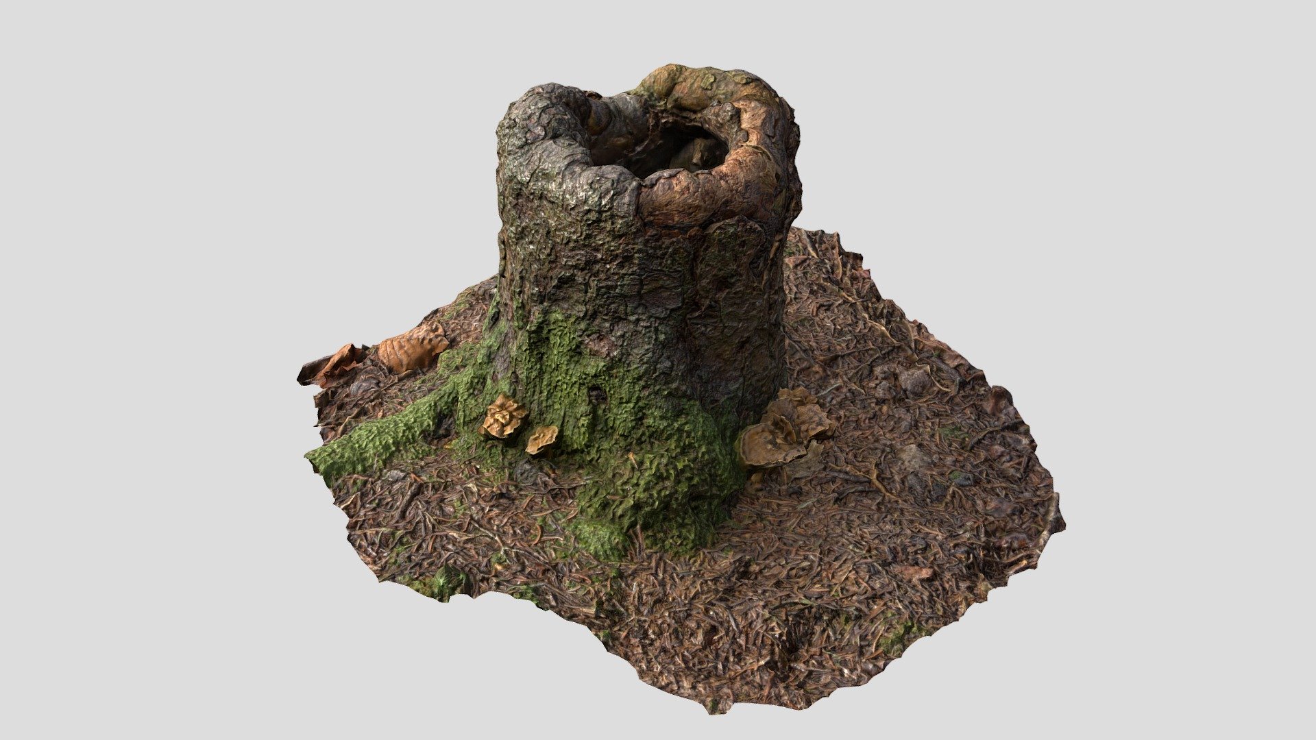 Tree Stump Old Mossy Scan | Retopologized