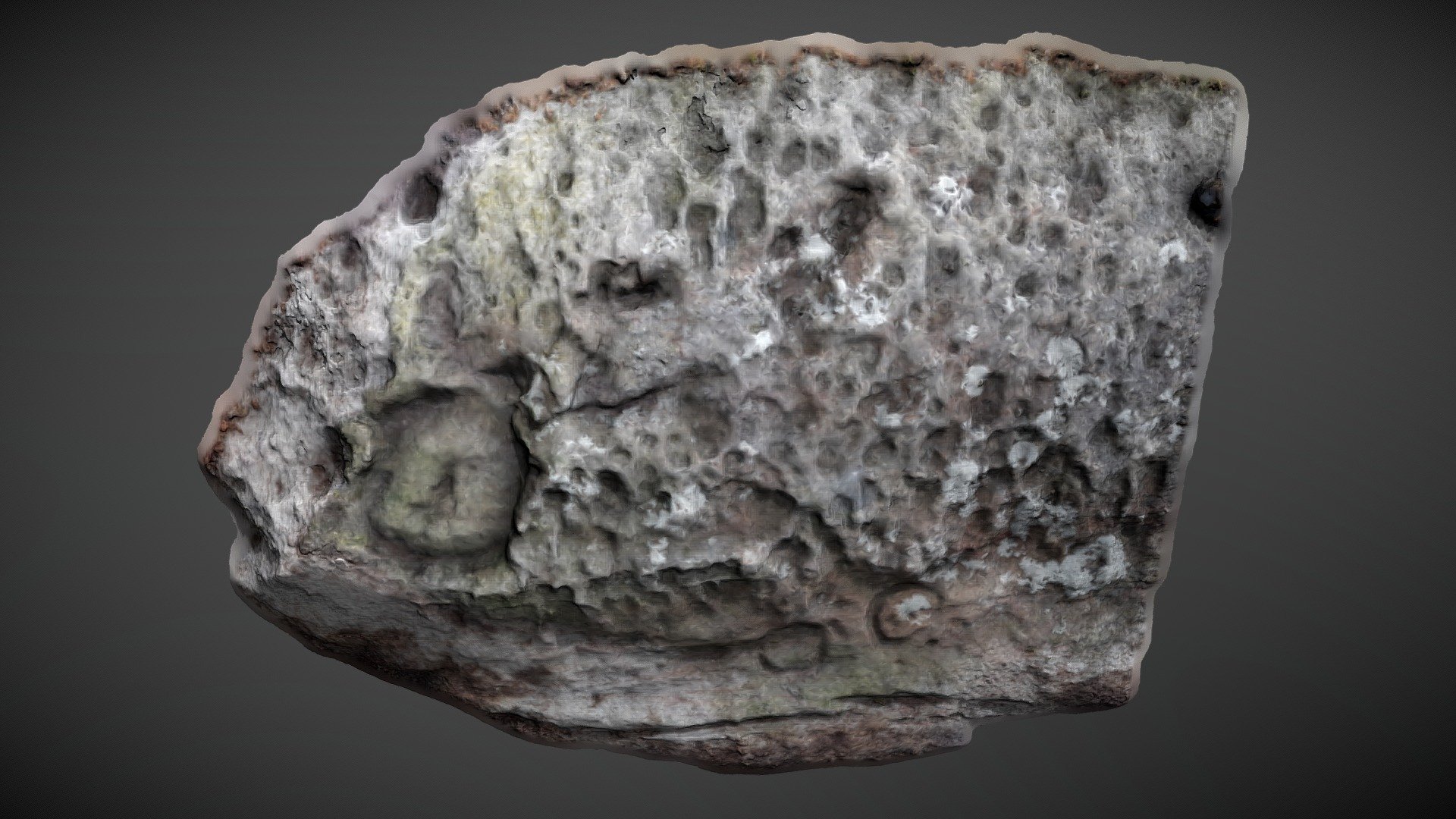 Broughmore Wood 4 - Quern Stone Quarrying