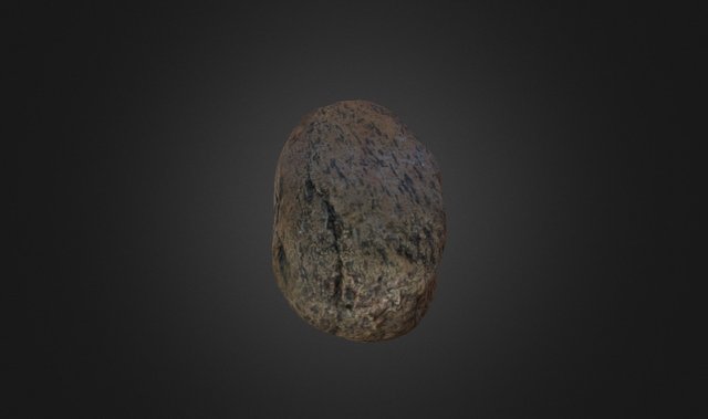 ТОЛОКА 3D Model