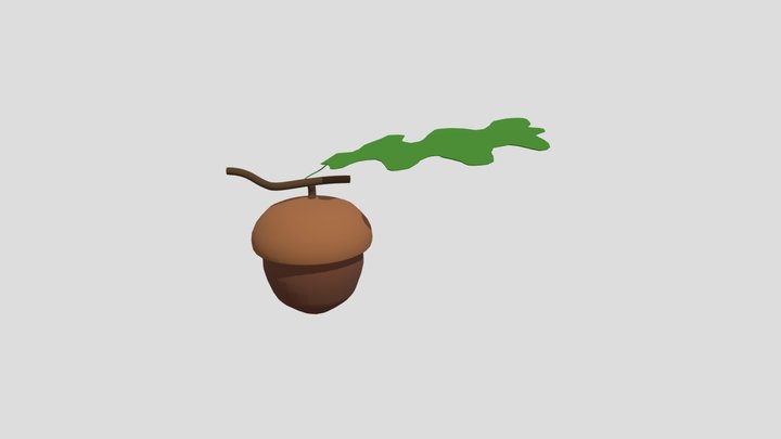 Acorn 3D Model