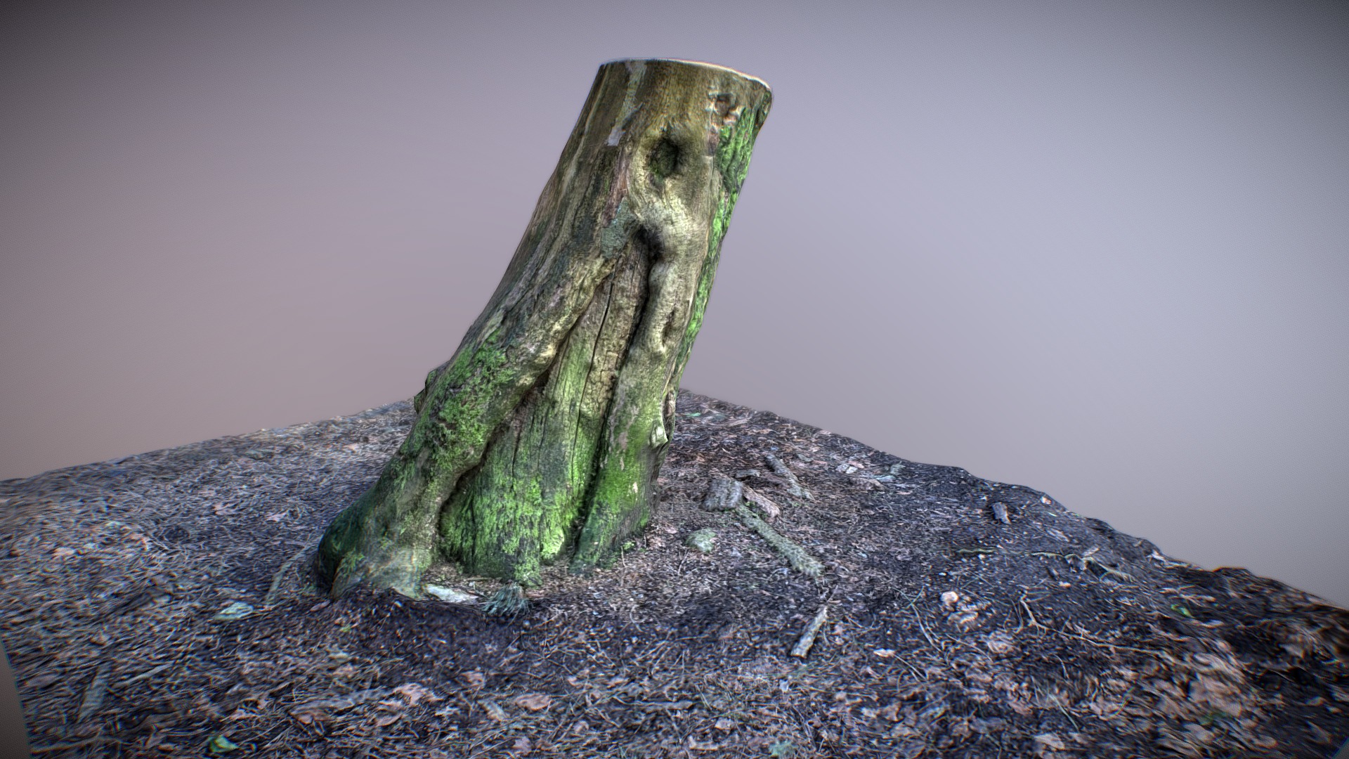 3D model Tree Trunk – 001 – Medium Poly – Maps 4096/4096 - This is a 3D model of the Tree Trunk - 001 - Medium Poly - Maps 4096/4096. The 3D model is about a rock on a rocky surface.