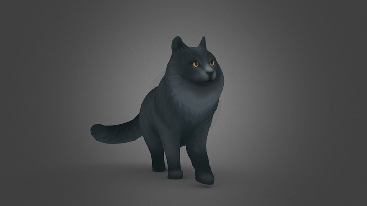 Charlotte 3D Model