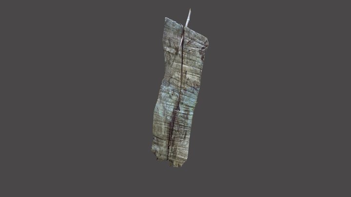 Stump - Creality Otter scan test – Kostenloses 3D-Modell STL
