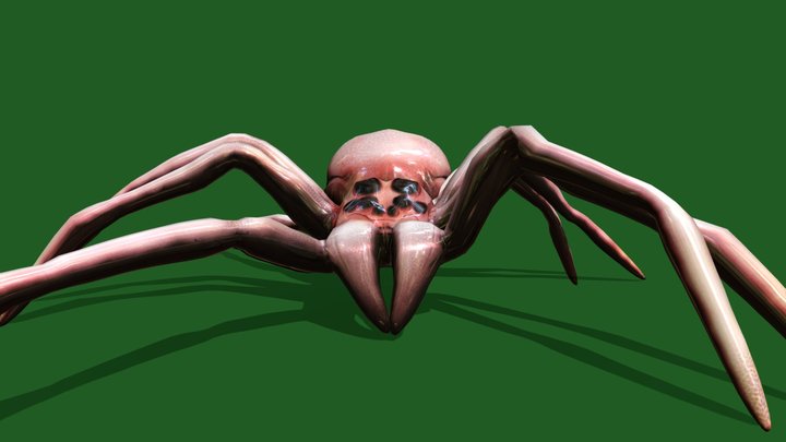 Spider Creepy Walking