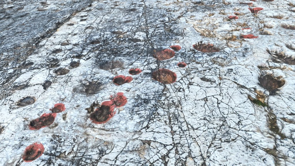 Footprints of Dinosaurs in Altamura