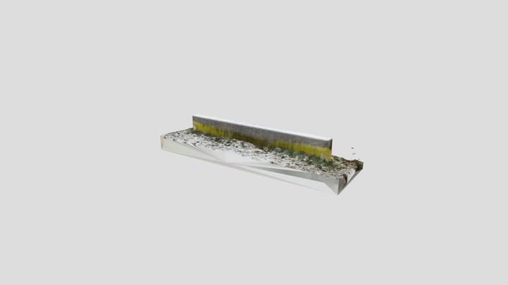 Concrete wall with snow and lichen 3D Model