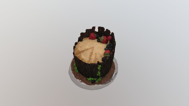 TORT 3D Model