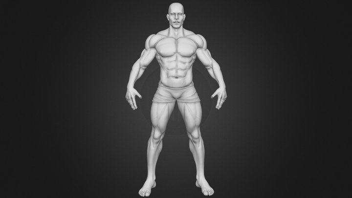 Strong Male Anatomy - Base Mesh 3D Model