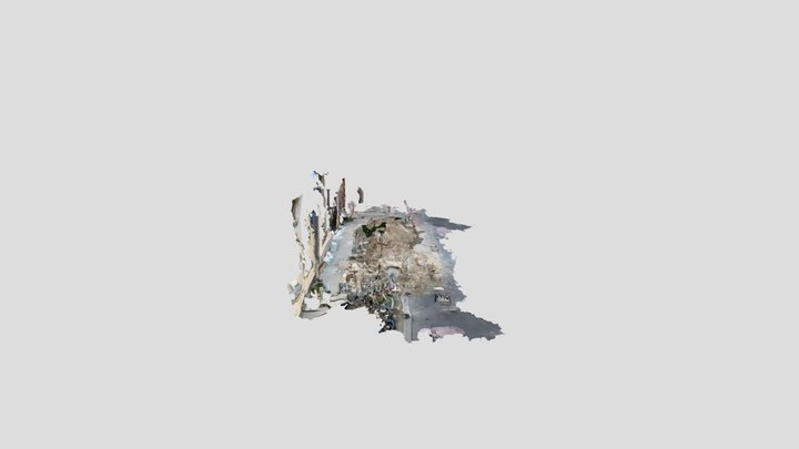 Untitled Scan 3D Model