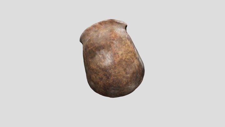 Neanderthal Skullcap 3D Model