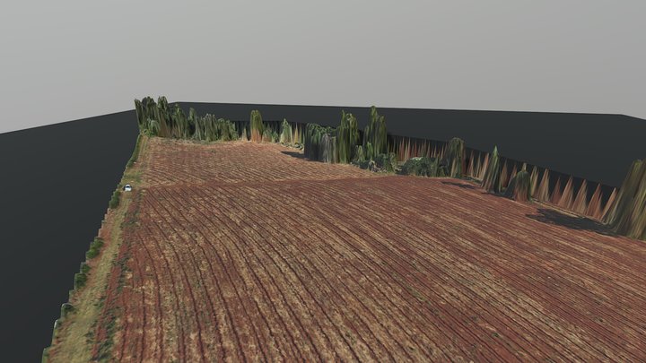 CURVAS3D 3D Model