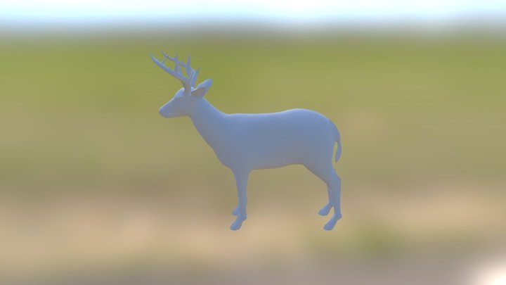 Deerportfolio 3D Model