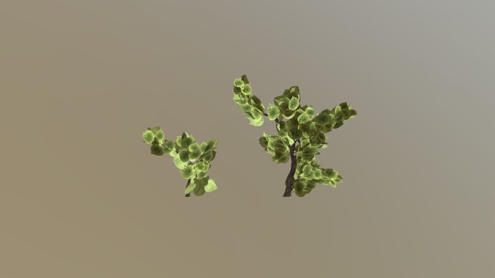 Tree Branch 3D Model