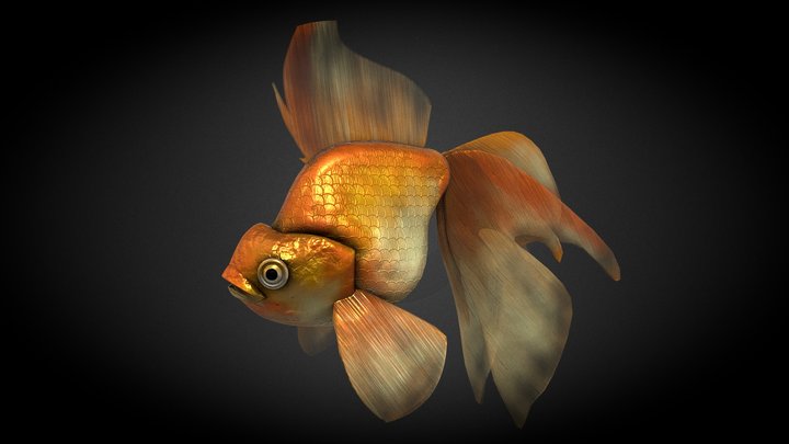 kingyo 3D Model