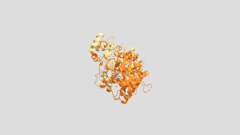 nerve agent and acetylcholinesterase