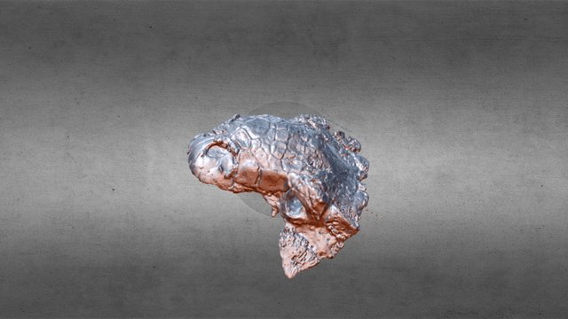 Dino stl single file 3D Model