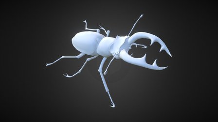 Stag Beetle 3D Model
