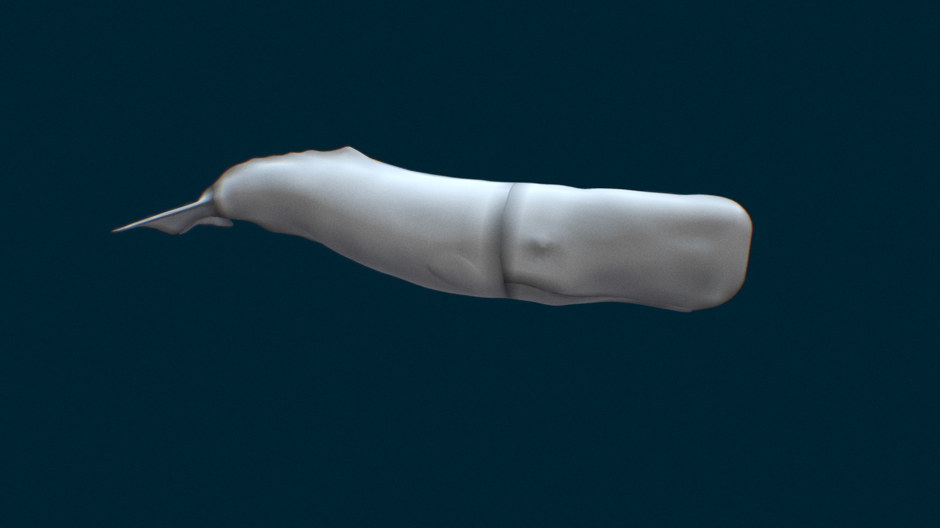 3D model Moby Dick - This is a 3D model of the Moby Dick. The 3D model is about a white sea animal.