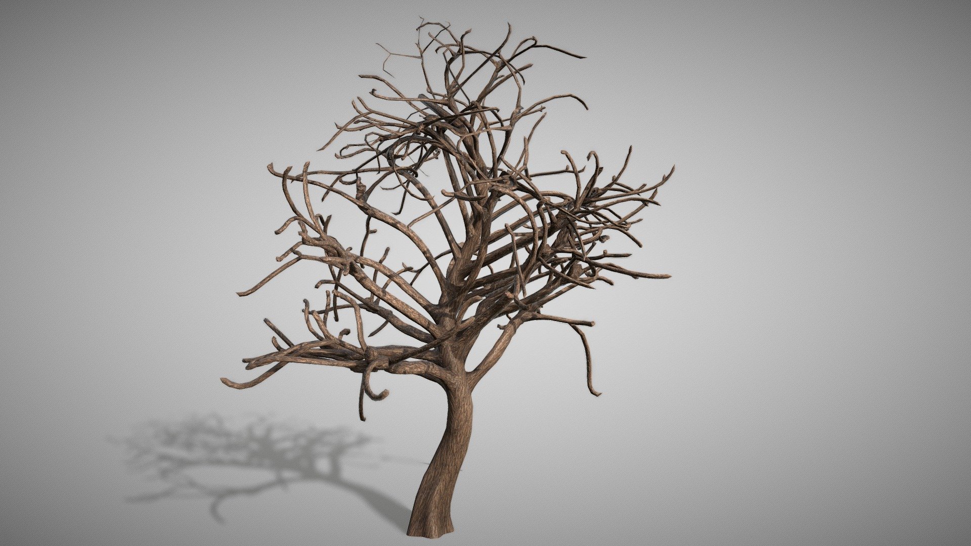 old fantasy dead tree - Download Free 3D model by Sumerian King (@lsk ...