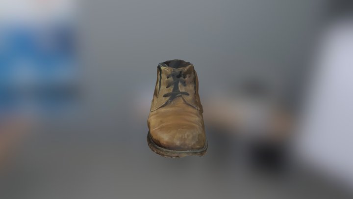 Shoe (high poly) 3D Model