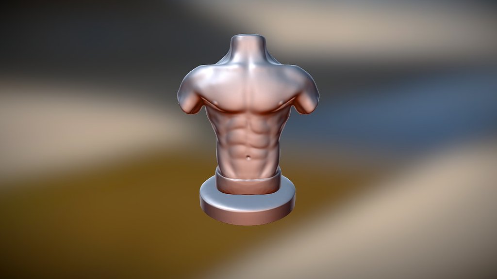 Torso Practise - 3D model by cramer [2efca17] - Sketchfab