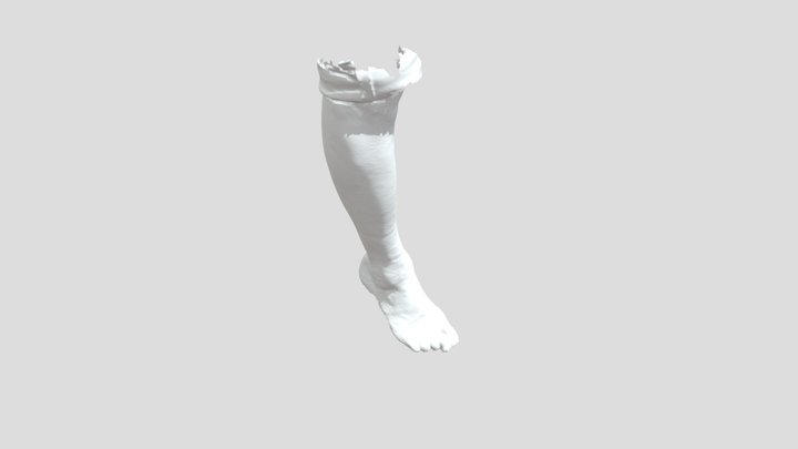 RightFoot_LaserScan 3D Model